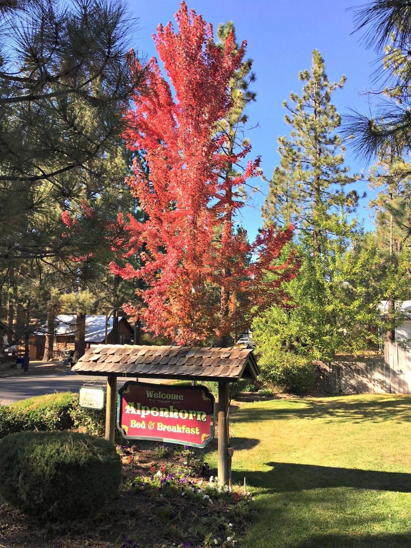Alpenhorn Bed And Breakfast Big Bear Lake Exterior photo